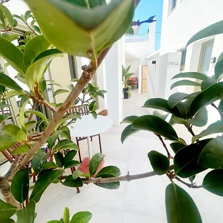 Joelia B Paros 度假居