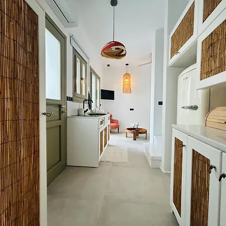 度假居 Joelia B Paros *